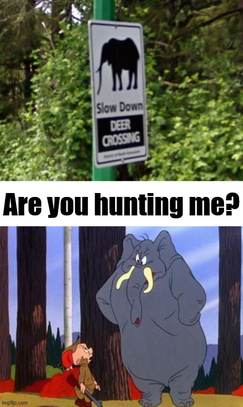 Are you hunting me? | image tagged in you had one job | made w/ Imgflip meme maker