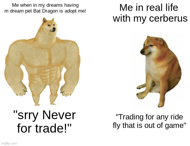 Buff Doge vs. Cheems | Me when in my dreams having m dream pet Bat Dragon is adopt me! Me in real life  with my cerberus; "srry Never for trade!"; "Trading for any ride fly that is out of game" | image tagged in memes,buff doge vs cheems | made w/ Imgflip meme maker