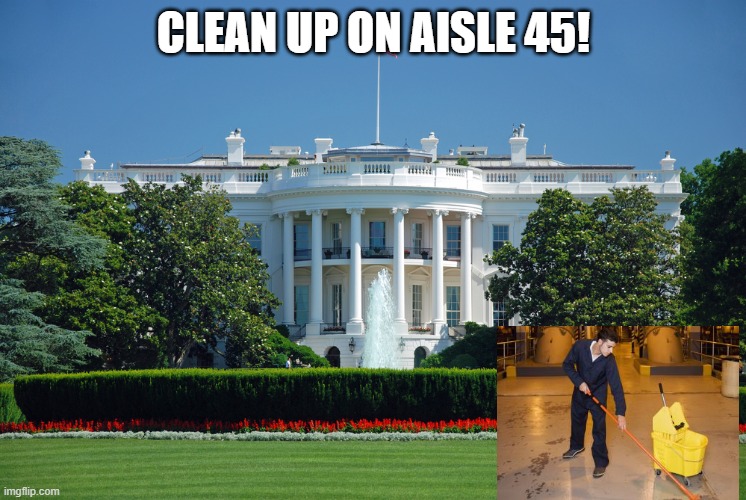 cleaning House | CLEAN UP ON AISLE 45! | image tagged in janitor | made w/ Imgflip meme maker