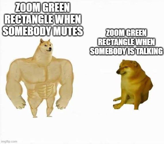 zoom speaker | ZOOM GREEN RECTANGLE WHEN SOMEBODY MUTES; ZOOM GREEN RECTANGLE WHEN SOMEBODY IS TALKING | image tagged in funny,zoom,fun,dogs,doge | made w/ Imgflip meme maker