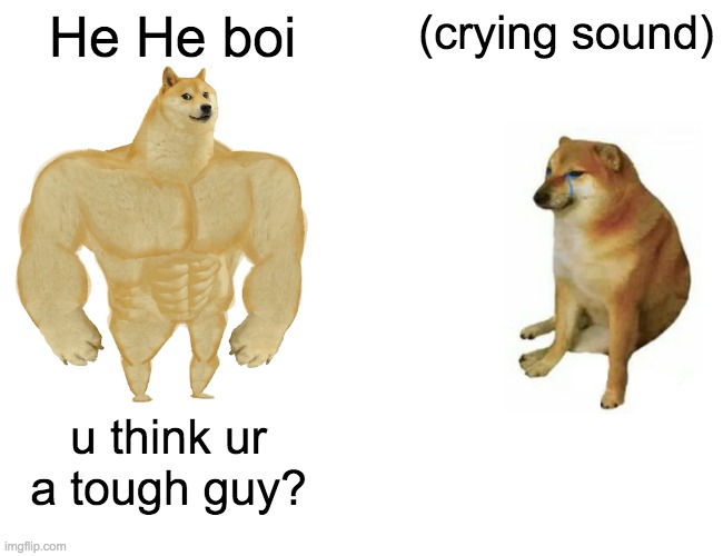 Buff Doge vs. Cheems | He He boi; (crying sound); u think ur a tough guy? | image tagged in memes,buff doge vs cheems | made w/ Imgflip meme maker
