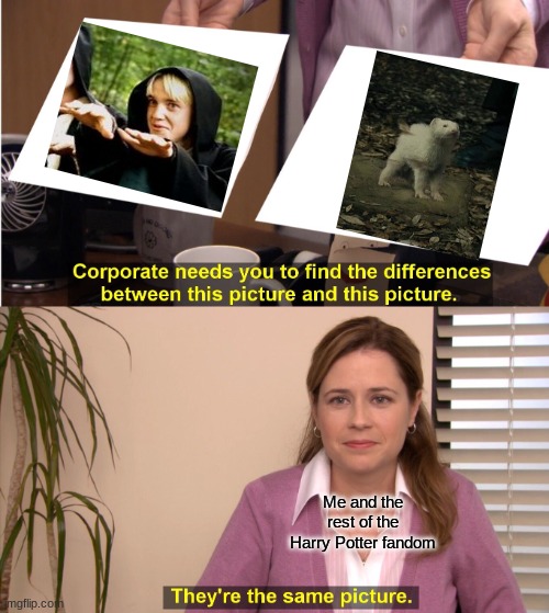 They're The Same Picture Meme | Me and the rest of the Harry Potter fandom | image tagged in memes,they're the same picture | made w/ Imgflip meme maker