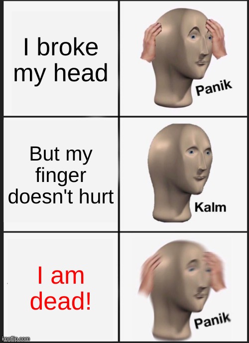 Ded Panik | I broke my head; But my finger doesn't hurt; I am dead! | image tagged in memes,panik kalm panik | made w/ Imgflip meme maker