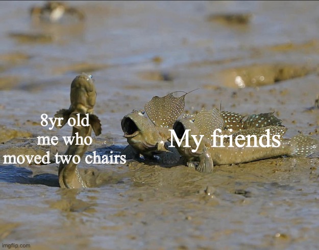 Moving two chairs | My friends; 8yr old me who moved two chairs | image tagged in pog mudskippers | made w/ Imgflip meme maker