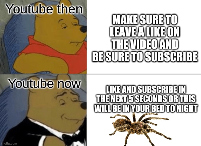 Youtube evolution | Youtube then; MAKE SURE TO LEAVE A LIKE ON THE VIDEO AND BE SURE TO SUBSCRIBE; Youtube now; LIKE AND SUBSCRIBE IN THE NEXT 5 SECONDS OR THIS WILL BE IN YOUR BED TO NIGHT | image tagged in memes,tuxedo winnie the pooh | made w/ Imgflip meme maker