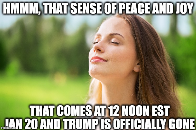 10's of Millions feel like this right now. | HMMM, THAT SENSE OF PEACE AND JOY; THAT COMES AT 12 NOON EST JAN 20 AND TRUMP IS OFFICIALLY GONE | image tagged in memes,politics,joe biden,potus,maga | made w/ Imgflip meme maker