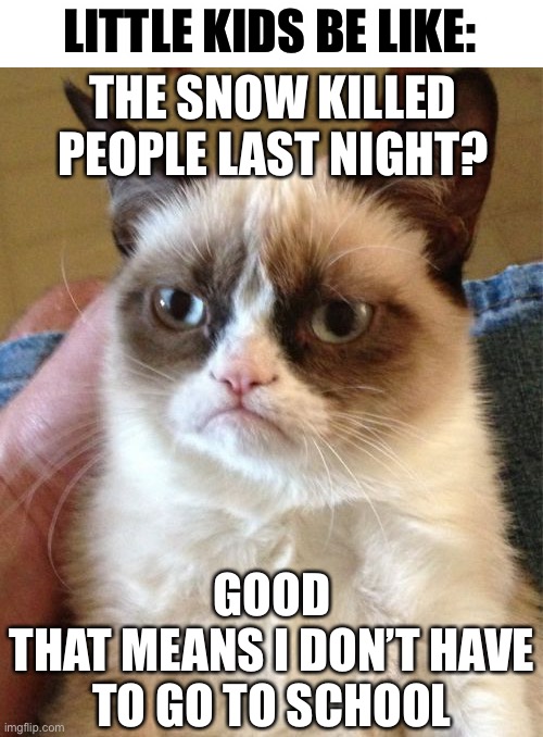 LOL am i wrong tho | LITTLE KIDS BE LIKE:; THE SNOW KILLED PEOPLE LAST NIGHT? GOOD
THAT MEANS I DON’T HAVE TO GO TO SCHOOL | image tagged in memes,grumpy cat,funny,cats,little kid,school | made w/ Imgflip meme maker
