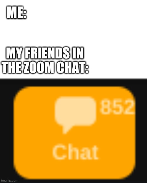 Zoom Chat | ME:; MY FRIENDS IN THE ZOOM CHAT: | image tagged in zoom,chat | made w/ Imgflip meme maker