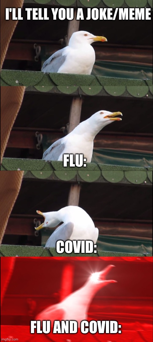 Inhaling Seagull | I'LL TELL YOU A JOKE/MEME; FLU:; COVID:; FLU AND COVID: | image tagged in memes,inhaling seagull | made w/ Imgflip meme maker