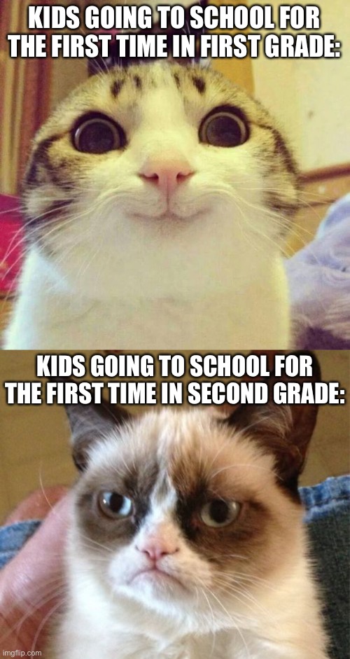 This is true lol | KIDS GOING TO SCHOOL FOR THE FIRST TIME IN FIRST GRADE:; KIDS GOING TO SCHOOL FOR THE FIRST TIME IN SECOND GRADE: | image tagged in memes,smiling cat,grumpy cat,school,cats,funny | made w/ Imgflip meme maker