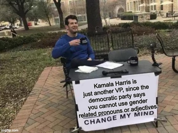 Kamala Is just another VP. | Kamala Harris is just another VP, since the democratic party says you cannot use gender related pronouns or adjectives. | image tagged in memes,change my mind | made w/ Imgflip meme maker