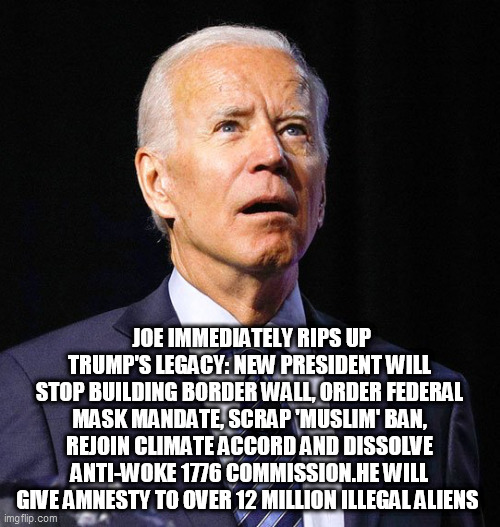 Joe Biden | JOE IMMEDIATELY RIPS UP TRUMP'S LEGACY: NEW PRESIDENT WILL STOP BUILDING BORDER WALL, ORDER FEDERAL MASK MANDATE, SCRAP 'MUSLIM' BAN, REJOIN CLIMATE ACCORD AND DISSOLVE ANTI-WOKE 1776 COMMISSION.HE WILL GIVE AMNESTY TO OVER 12 MILLION ILLEGAL ALIENS | image tagged in joe biden | made w/ Imgflip meme maker
