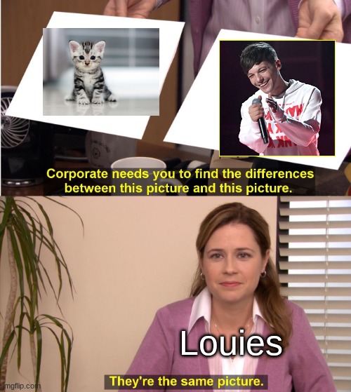 Louies | Louies | image tagged in memes,they're the same picture | made w/ Imgflip meme maker