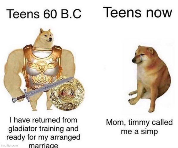 Buff doge Vs cheems | I HAVE RETURNED FROM GLADIATOR TRAINING AND READY FOR MY ARRANGED MARRIAGE          MOM, TIMMY CALLED ME A SIMP; TEENS 60 B.C.        TEENS NOW | image tagged in teens,now and then,memes,gifs,charts,funny | made w/ Imgflip meme maker