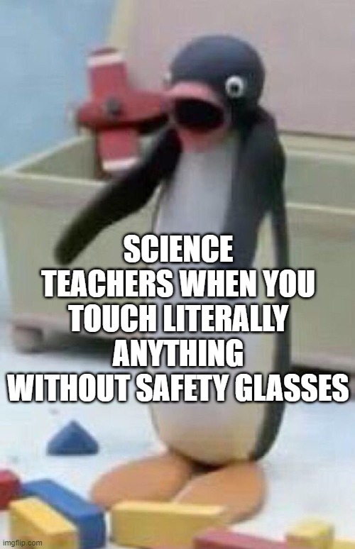 Gasping penguin | SCIENCE TEACHERS WHEN YOU TOUCH LITERALLY ANYTHING WITHOUT SAFETY GLASSES | image tagged in gasping penguin | made w/ Imgflip meme maker