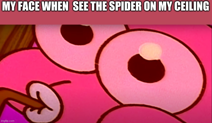 it happens | MY FACE WHEN  SEE THE SPIDER ON MY CEILING | image tagged in memes | made w/ Imgflip meme maker