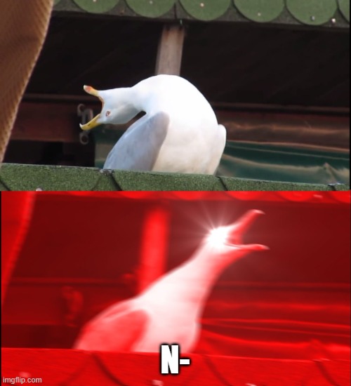Screaming bird | N- | image tagged in screaming bird | made w/ Imgflip meme maker