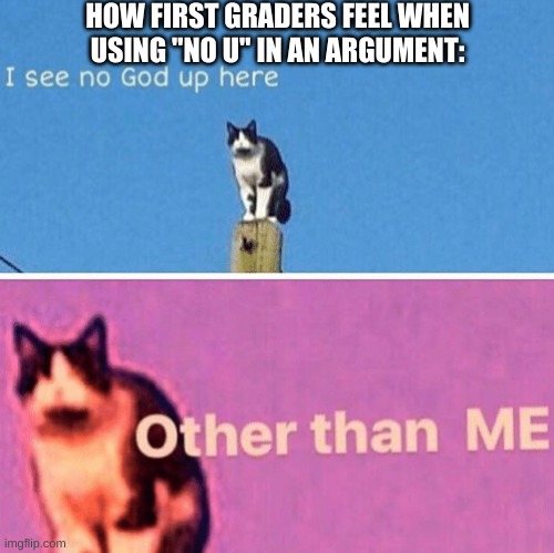 bruh |  HOW FIRST GRADERS FEEL WHEN USING "NO U" IN AN ARGUMENT: | image tagged in memes,funny,hail pole cat,no u,argument,lol | made w/ Imgflip meme maker