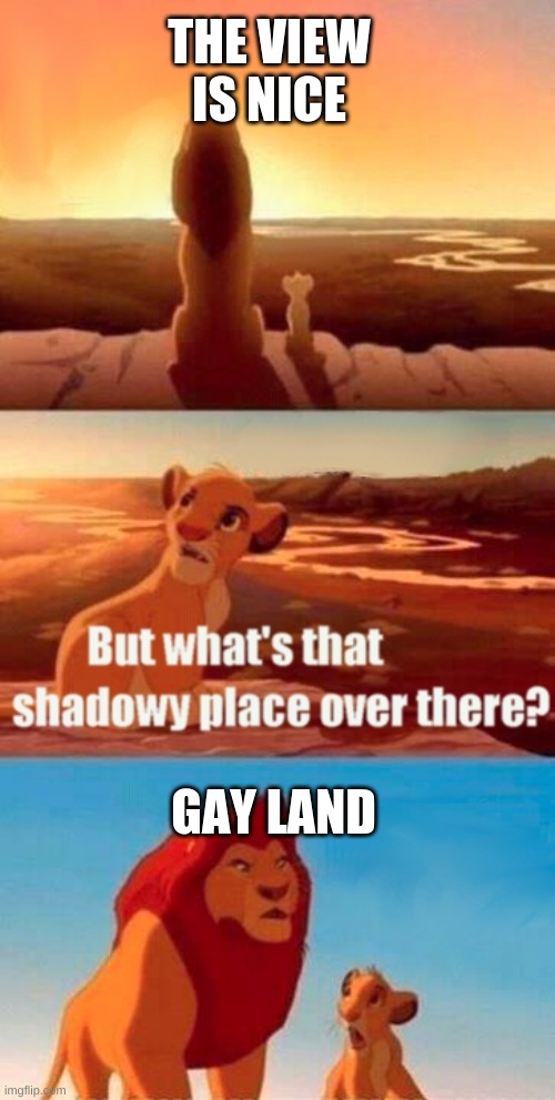 Simba Shadowy Place Meme | THE VIEW IS NICE; GAY LAND | image tagged in memes,simba shadowy place | made w/ Imgflip meme maker
