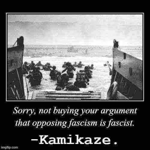 [Because if this is true, then everyone must be a fascist! That can't be right. Are there any handy historical examples?] | image tagged in kamikaze roast fascism,fascism,nazis,neo-nazis,d-day,wwii | made w/ Imgflip meme maker