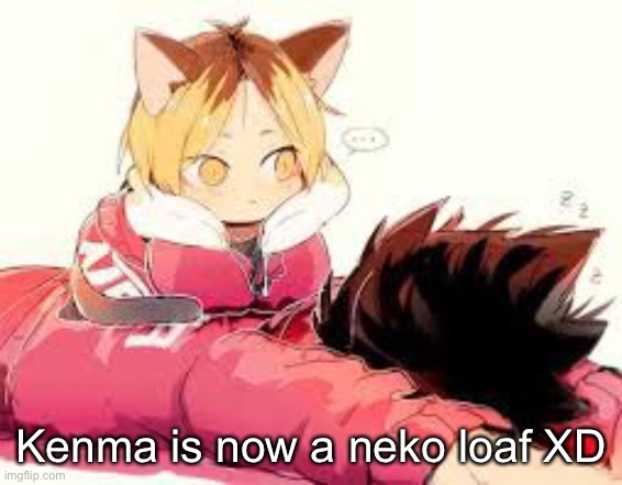 Kenma is now a neko loaf XD | made w/ Imgflip meme maker