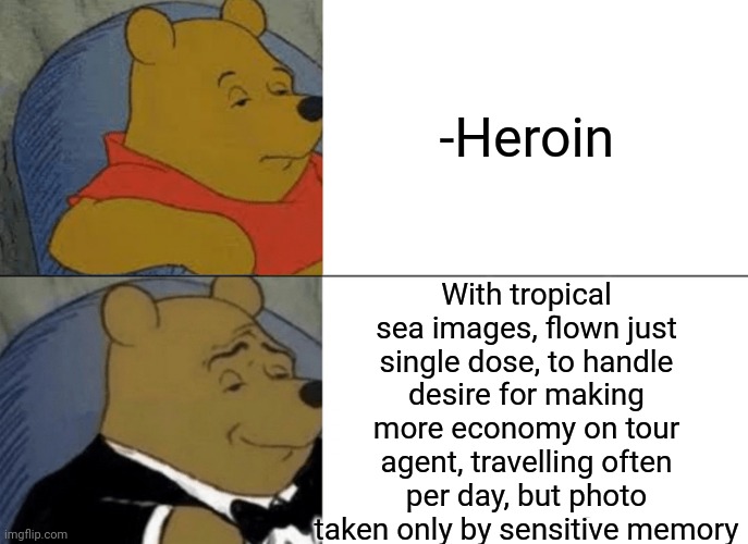 -That all need. | -Heroin; With tropical sea images, flown just single dose, to handle desire for making more economy on tour agent, travelling often per day, but photo taken only by sensitive memory | image tagged in memes,tuxedo winnie the pooh,time travel,tropical,day at the beach,don't do drugs | made w/ Imgflip meme maker