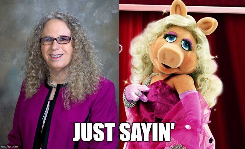 Miss Piggy |  JUST SAYIN' | image tagged in politics | made w/ Imgflip meme maker