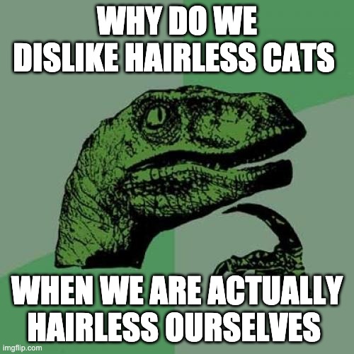 Philosoraptor | WHY DO WE DISLIKE HAIRLESS CATS; WHEN WE ARE ACTUALLY HAIRLESS OURSELVES | image tagged in memes,philosoraptor,cats | made w/ Imgflip meme maker