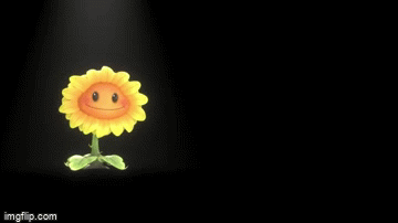 Sunflower - Imgflip