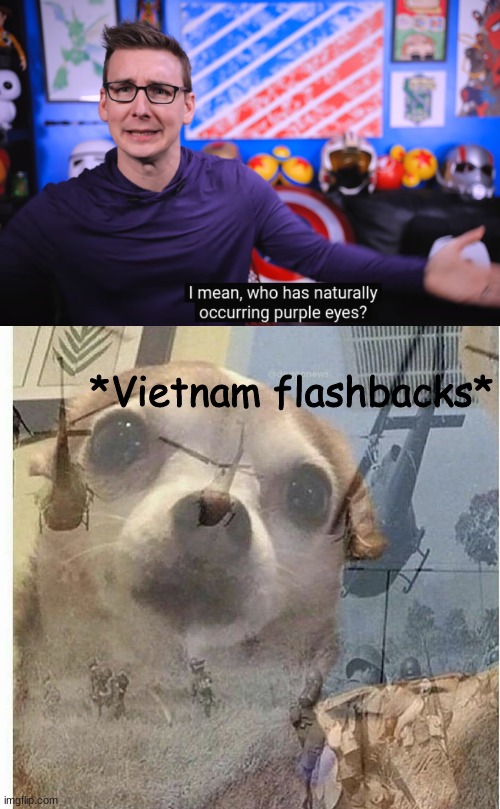 L | *Vietnam flashbacks* | image tagged in ptsd chihuahua | made w/ Imgflip meme maker