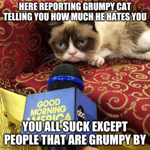 Grumpy cat news! | HERE REPORTING GRUMPY CAT TELLING YOU HOW MUCH HE HATES YOU; YOU ALL SUCK EXCEPT PEOPLE THAT ARE GRUMPY BY | image tagged in grumpy cat news | made w/ Imgflip meme maker