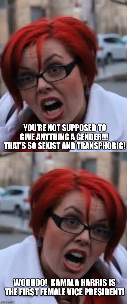 i don’t even think they’re hypocrites at all.  I just think they’re really stupid! | YOU’RE NOT SUPPOSED TO GIVE ANYTHING A GENDER!!!  THAT’S SO SEXIST AND TRANSPHOBIC! WOOHOO!  KAMALA HARRIS IS THE FIRST FEMALE VICE PRESIDENT! | image tagged in sjw triggered,funny,memes | made w/ Imgflip meme maker