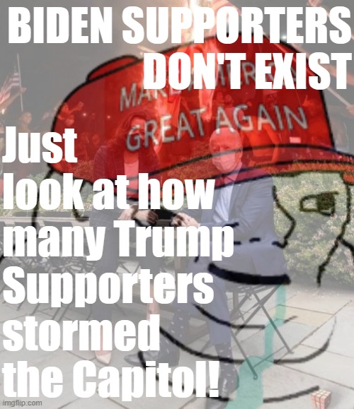 MAGAts rn be like | BIDEN SUPPORTERS DON'T EXIST; Just look at how many Trump Supporters stormed the Capitol! | image tagged in ptsd maga wojak 1 | made w/ Imgflip meme maker