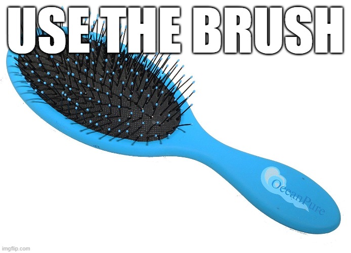 USE THE BRUSH | made w/ Imgflip meme maker