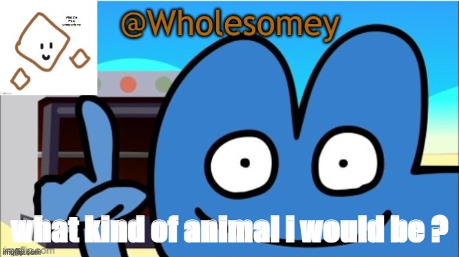 cuz ye | what kind of animal i would be ? | image tagged in wholesomey's template | made w/ Imgflip meme maker