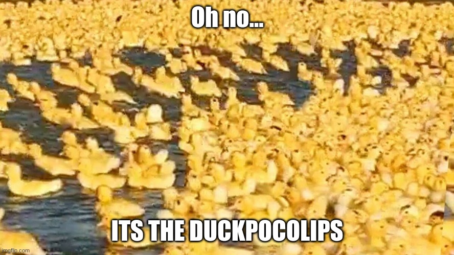 yayyyyy | Oh no... ITS THE DUCKPOCOLIPS | image tagged in noooooooooooooooooooooooo | made w/ Imgflip meme maker