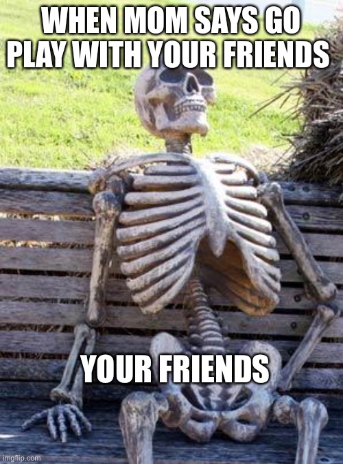 Waiting Skeleton Meme | WHEN MOM SAYS GO PLAY WITH YOUR FRIENDS; YOUR FRIENDS | image tagged in memes,waiting skeleton | made w/ Imgflip meme maker