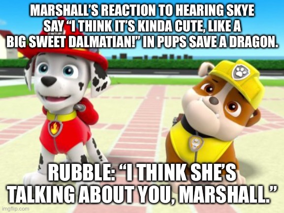 Marshall and Rubble | MARSHALL’S REACTION TO HEARING SKYE SAY “I THINK IT’S KINDA CUTE, LIKE A BIG SWEET DALMATIAN!” IN PUPS SAVE A DRAGON. RUBBLE: “I THINK SHE’S TALKING ABOUT YOU, MARSHALL.” | image tagged in marshall and rubble | made w/ Imgflip meme maker