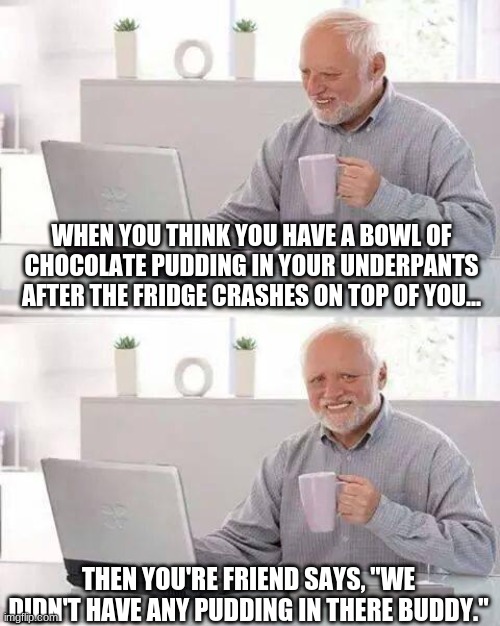 Hide the Pain Harold | WHEN YOU THINK YOU HAVE A BOWL OF CHOCOLATE PUDDING IN YOUR UNDERPANTS AFTER THE FRIDGE CRASHES ON TOP OF YOU... THEN YOU'RE FRIEND SAYS, "WE DIDN'T HAVE ANY PUDDING IN THERE BUDDY." | image tagged in memes,hide the pain harold | made w/ Imgflip meme maker