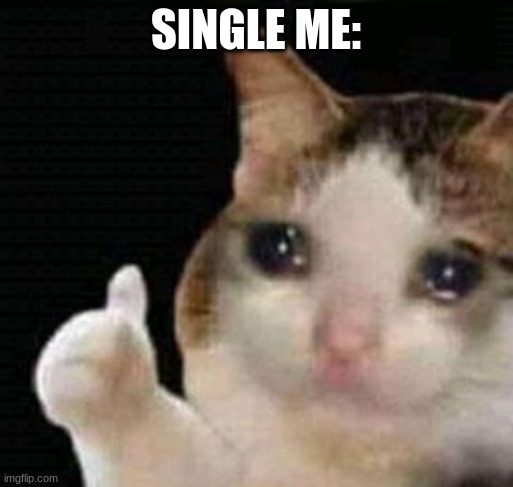 sad thumbs up cat | SINGLE ME: | image tagged in sad thumbs up cat | made w/ Imgflip meme maker