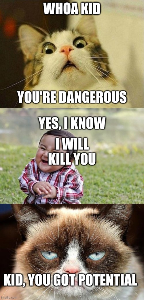 Weird things | WHOA KID; YOU'RE DANGEROUS; YES, I KNOW; I WILL KILL YOU; KID, YOU GOT POTENTIAL | image tagged in memes,scared cat,evil toddler,grumpy cat not amused | made w/ Imgflip meme maker