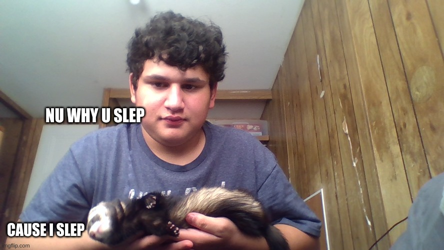 NU WHY U SLEP; CAUSE I SLEP | made w/ Imgflip meme maker