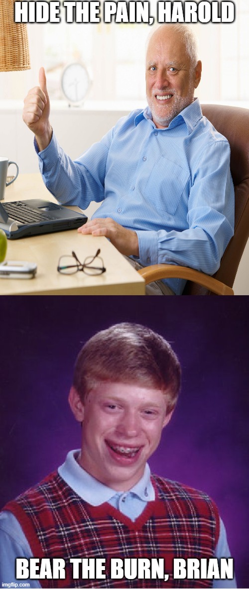 clever wordplay | HIDE THE PAIN, HAROLD; BEAR THE BURN, BRIAN | image tagged in memes,bad luck brian | made w/ Imgflip meme maker