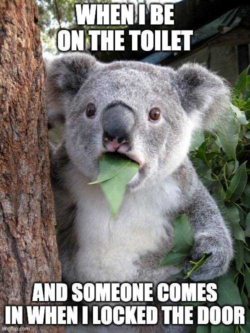 me | WHEN I BE ON THE TOILET; AND SOMEONE COMES IN WHEN I LOCKED THE DOOR | image tagged in memes,surprised koala | made w/ Imgflip meme maker