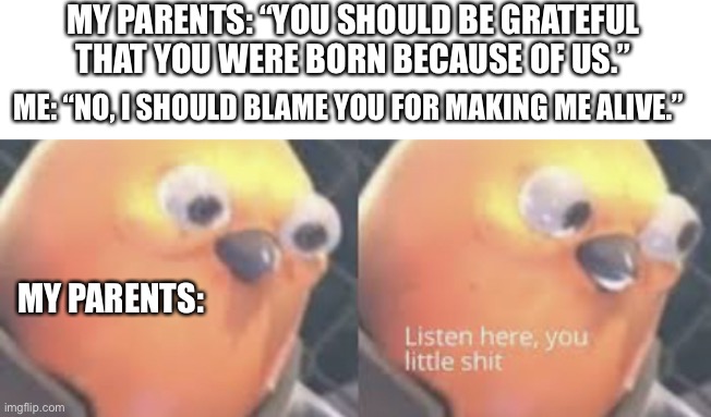Is this relatable? | MY PARENTS: “YOU SHOULD BE GRATEFUL THAT YOU WERE BORN BECAUSE OF US.”; ME: “NO, I SHOULD BLAME YOU FOR MAKING ME ALIVE.”; MY PARENTS: | image tagged in listen here you little shit bird | made w/ Imgflip meme maker