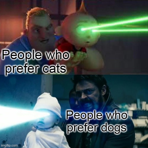  People who prefer cats; People who prefer dogs | image tagged in cats,funny cats,lolcats,cats are awesome,catslovers,cats and dogs | made w/ Imgflip meme maker