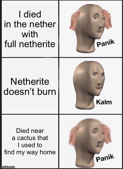 Panik Kalm Panik | I died in the nether with full netherite; Netherite doesn’t burn; Died near a cactus that I used to find my way home | image tagged in memes,panik kalm panik | made w/ Imgflip meme maker