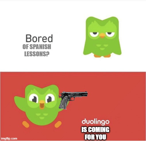 bored? You missed your spanish lessons | OF SPANISH LESSONS? IS COMING FOR YOU | image tagged in duolingo bored | made w/ Imgflip meme maker