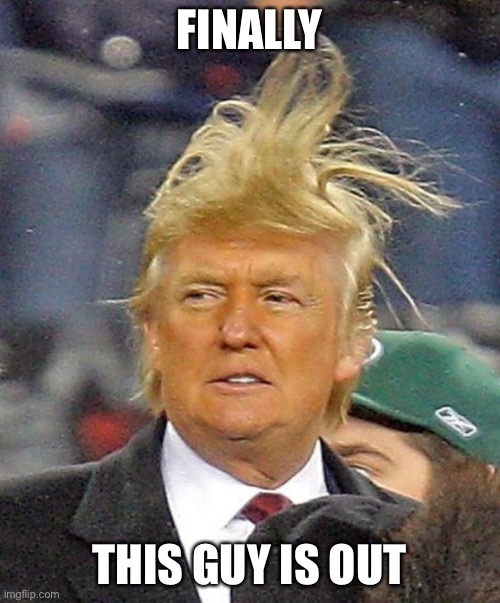 THANK GOD | FINALLY; THIS GUY IS OUT | image tagged in donald trumph hair | made w/ Imgflip meme maker