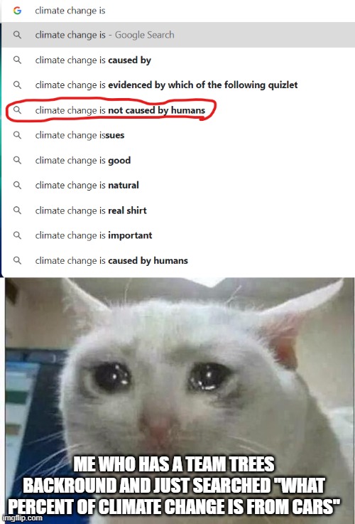 ME WHO HAS A TEAM TREES BACKROUND AND JUST SEARCHED "WHAT PERCENT OF CLIMATE CHANGE IS FROM CARS" | image tagged in crying cat | made w/ Imgflip meme maker